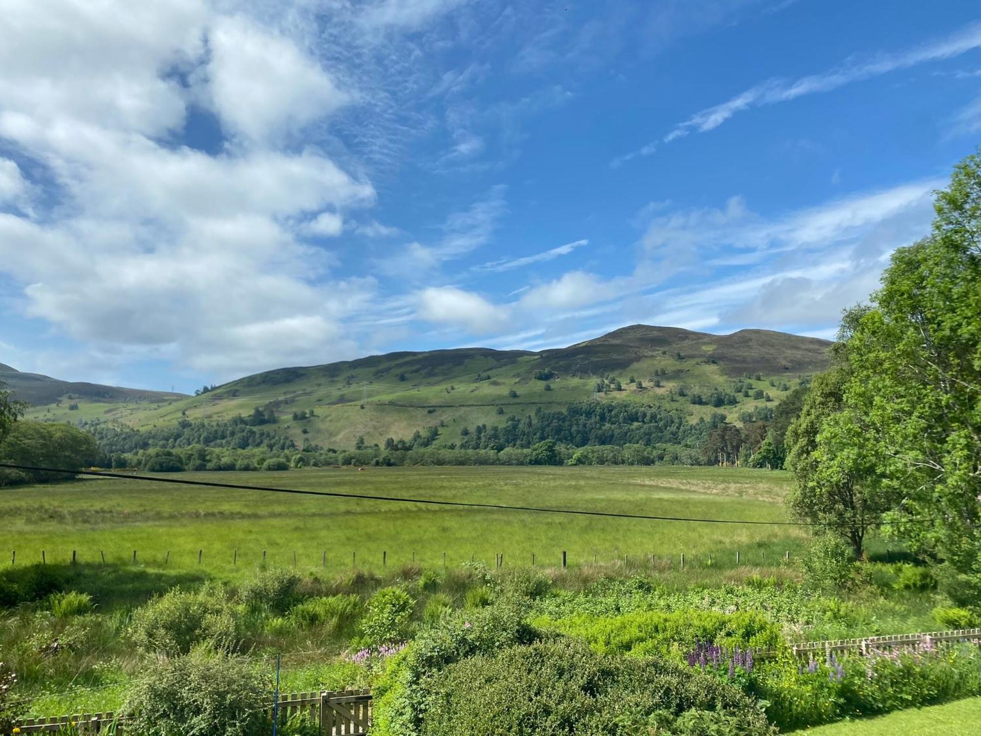 Thistle Cottage, Crannachcottages Garve Exterior foto